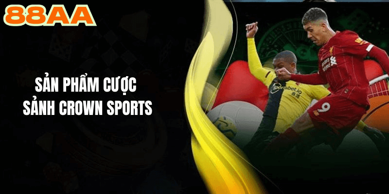 Các Sản Phẩm Đặc Trưng Của Crown Sports
