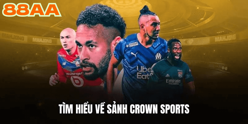 Những Thành Tựu Nổi Bật Và Đóng Góp Của Crown Sports Trong Thể Thao Việt Nam